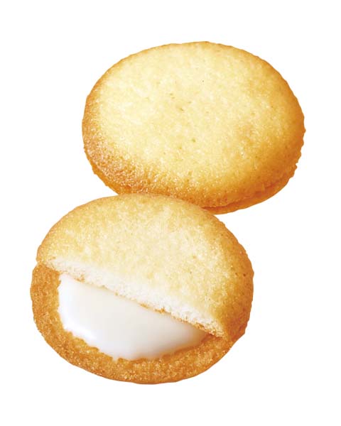 プチホワイトチョコラングドシャ生地