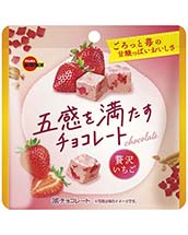 五感を満たすチョコレート贅沢いちご 五感を満たすチョコレート贅沢いちご