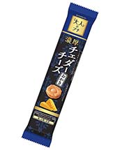 大人のプチ濃厚チェダーチーズおかき 大人のプチ濃厚チェダーチーズおかき
