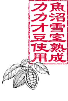 魚沼雪室熟成カカオ豆使用