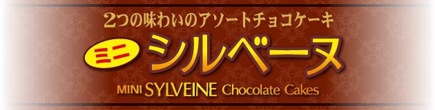 2つの味わいのアソートチョコケーキ ミニシルベーヌ FAMILY SIZE